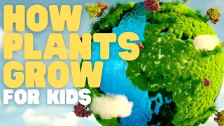how plants grow for kids learn about photosynthesis and what plants need to grow strong