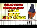 Lagu PANCINGAN LANGSUNG NYAUT DENGAN MURAI BATU ISIAN KENARI,CILILIN,KATEM,SEKETIKA EMOSI BONGKAR ISIAN