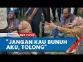 Download Lagu Viral Video PNS Wanita Menangis saat Bertemu Suami Sah di Jalan: Tolong Jangan Kau Bunuh Aku