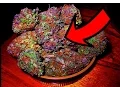 Top 10 Most Popular Weed Strains EVER