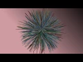 Ben Wade Rubberbands privacy Visualization Trapcode Tao