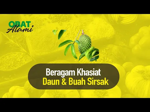 Buah dan Daun Sirsak, Obat Alami Berbagai Penyakit