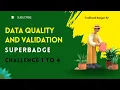 Data Quality and Validation Superbadge Unit Challenge 1 to 4