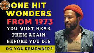 15 one hit wonder from 1973 that you forgot were great