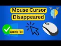 Mouse Cursor Disappeared in Windows 11 Quick Solution