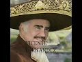 UNA MARIONETA Y UN HOMBRE CON SUERTE VICENTE FERNANDEZ