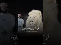 Download Lagu Islam Sobhi reciting Quran in front of a Lion