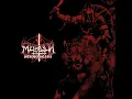 Darkness Breeds Immortality (Live)