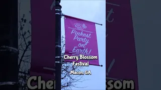 My Amazing Day at the Cherry Blossom Festival in Macon