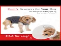 BellyGuard - After Surgery Dog Onesie Recovery Suit for Dogs Comfortable Substitute For Cone