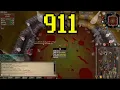Sarachnis pet KC 911