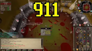 Sarachnis pet KC 911