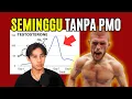 Lagu TESTOSTERON NAIK 145% di 7 Hari Tanpa Ngoc*k (Aura Lo Bangkit)