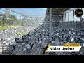 Florida Pigeon Derby September 17th Update