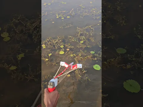 🏹 “Smart Crossbow Trick to Catch big Fish (Part_11) #crossbow #shorts