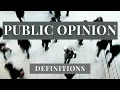 What Is Public Opinion Definitions