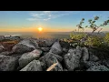 Incredible Midnight Sun 🌞 in Salla National Park in Lapland Finland - Arctic Circle Napapiiri