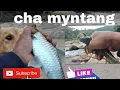 Download Lagu Da ka thku sla cha myntang