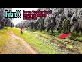 Download Lagu panik pak!!!
