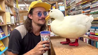 I took my duck to the Bookstore 📕🦆
