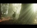 Spring • Beautiful Relaxing Music with a Flute, Cello, Guitar & Piano