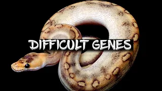 Eight Ball Python Genes that are Difficult to Work With