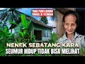 Lagu Gak Tega Lihatnya 😭 Nenek Sebatang Kara Tidak Bisa Melihat Seumur Hidup, Tinggal Di Rumah Tetangga.