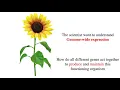 Gene expression analysis and DNA micro array