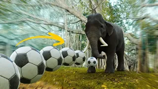 Epic Football Rube Goldberg Machine | Satisfying CGi