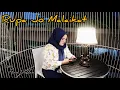 Download Lagu lagu Manado || Rupa Jo Malaikat || Isty Julistry || Cover Ama Dahlan