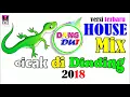Download Lagu CICAK 2 DI DINDING DJ REMIX KEREN FUUL HOUSE MIX TERBARU 2018