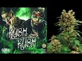 Farruko, Bad Bunny & Rvssian Krippy Kush-letra