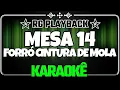 Download Lagu Karaokê - Mesa 14/Forró Cintura de mola