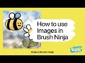 How to easily add and manipulate images in Brush Ninja