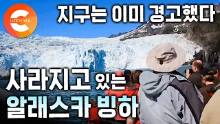 1980년대보다 5배 빠르게 녹고 있다. ‘기후위기 최전선’ 알래스카 빙하가 인류에게 보내는 지구의 이상 신호ㅣ기후 시그널ㅣ오버투어리즘ㅣ#세계테마기행
