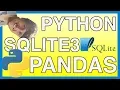 Python SQLite3 database extract Pandas Dataframe convert to CSV Python for Scott Episode 2