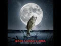 Best moon phases for fishing