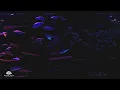 Download Lagu Dark Aquarium with Beautiful Fish | Relaxing Water Stream Noise | 10 Hour Sleep Sound
