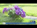 Greenlawn Funeral Homes partnering with mayor for Day of Healing recognizing loss during COVID-19