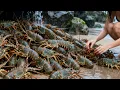Download Lagu Lobsters And Scallops Can't Be Picked Up Everywhere, Treasure Beach