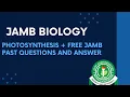 JAMB Biology 2027 EP 59 - Photosynthesis The Leaf As a Photosynthetic Organ Free JAMB Biology PQ