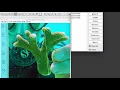 Tutorial ImageJ v2