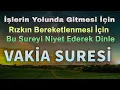 Download Lagu 14 VAKİA SURESİ RUKYESİ DİNLE - Dualar Hazinesi