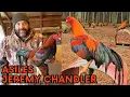 ASIL Jeremy Chandler Farm - Juan Santos Farm Visit Beautiful Birds