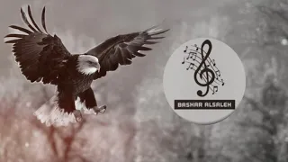 استكنان حزين موسيقى الصقر 2026 