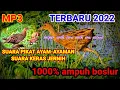 Download Lagu TERBARU 2021 || SUARA PIKAT BURUNG AYAM-AYAMAN SAWAH || SUARA JERNIH KERAS