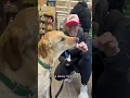 Pet Supplies Plus - Dog Bath