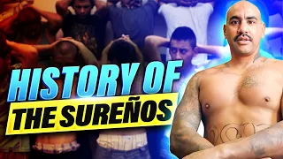 Inside SUR13 Uncovering Shocking Truths about Surenos