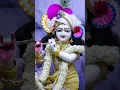 Download Lagu Meri aapke kripa Se sada kam ho raha hai#Krishna bhajan#short video#