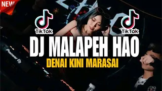 dj malapeh hao denai kini marasai rayola minang terbaru 2025